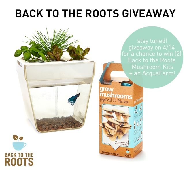 Purely Spring Giveaway Back to the Roots